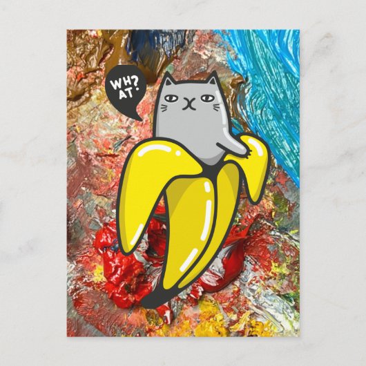 Kat en de kleuren briefkaart (Voorkant)