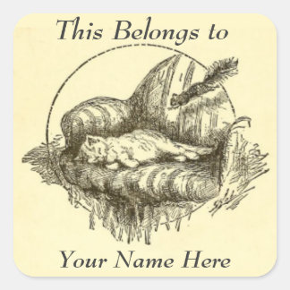 Kat en eekhoorn Persoonlijke Stickers