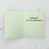 Kat en een broodje tonijn kaart (Binnen)