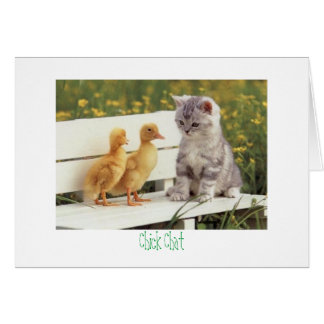 kat en eenden Chick Chat