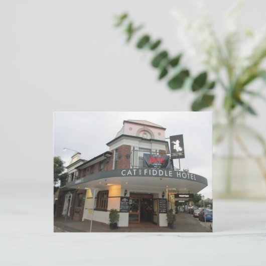 Kat en Fiddle Hotel in Balmain Briefkaart (Staand voorkant)