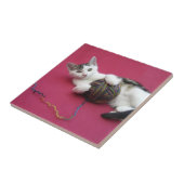 Kat en garen tegeltje (Zijkant)