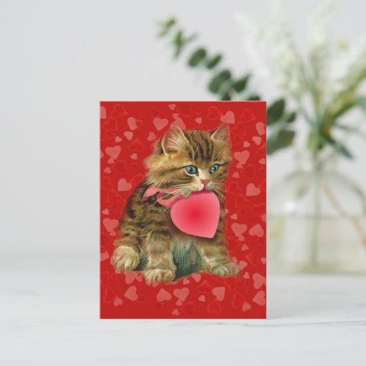 KAT EN GEHOORD DOOR SHARON SHARPE BRIEFKAART (Staand voorkant)