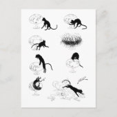 Kat en goudvis, Alexandre Steinlen Briefkaart (Voorkant)