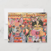 Kat en hond adopteren geen Wenskaart Kaart (Voorkant)