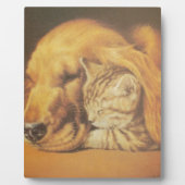 Kat en hond fotoplaat (Voorkant)