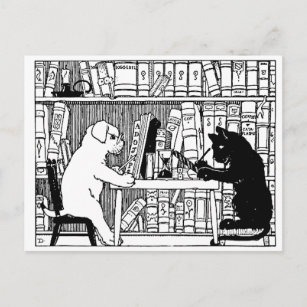 Kat en hond in de bibliotheek briefkaart