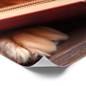 Kat en hond lezen van een boek poster (Hoek)
