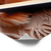 Kat en hond lezen van een boek poster (Hoek)