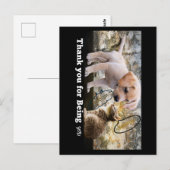 Kat en hond met tekst dank je briefkaart (Voorkant / Achterkant)