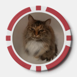 Kat en hond poker chips