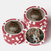 Kat en hond poker chips (Opstapeling)