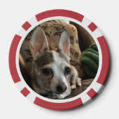 Kat en hond poker chips (Achterkant)