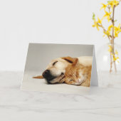 Kat en hond slapen samen. kaart (Gele Bloem)