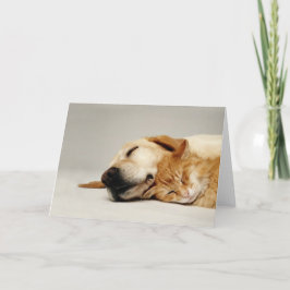 Kat en hond slapen samen. kaart