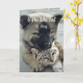 Kat en hond-Valentijnsdag Kaart (Gele Bloem)