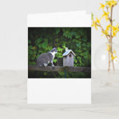 Kat en huis, kaart (Gele Bloem)
