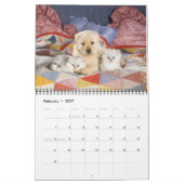 Kat- en kattenkalender 2019 kalender (Feb 2027)
