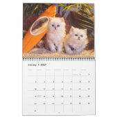 Kat- en kattenkalender 2019 kalender (Jan 2027)