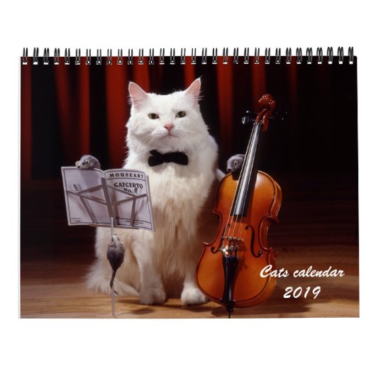 Kat- en kattenkalender 2019 kalender (Achterkant)