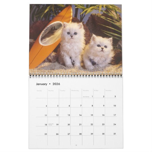 Kat- en kattenkalender 2019 kalender (Jan 2026)
