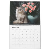 Kat- en kattenkalender 2019 kalender (Mar 2026)