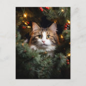 Kat en Kerstboom Briefkaart (Voorkant)