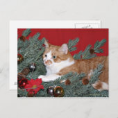 Kat en kerstboom feestdagenkaart (Voorkant / Achterkant)