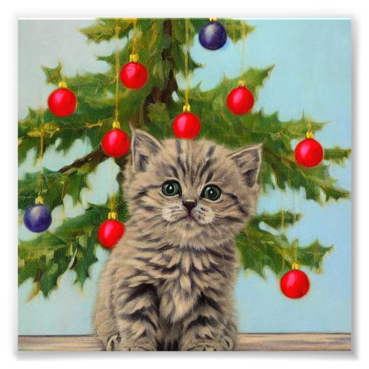 kat en kerstboom foto afdruk (Voorkant)