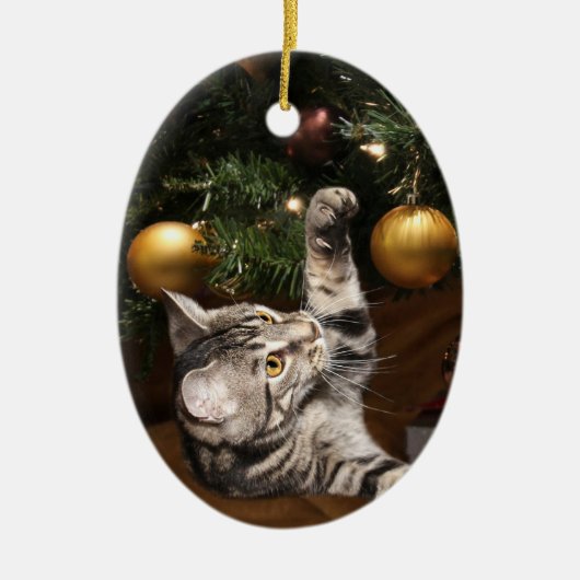 Kat en kerstboom met tabby keramisch ornament (Voorkant)