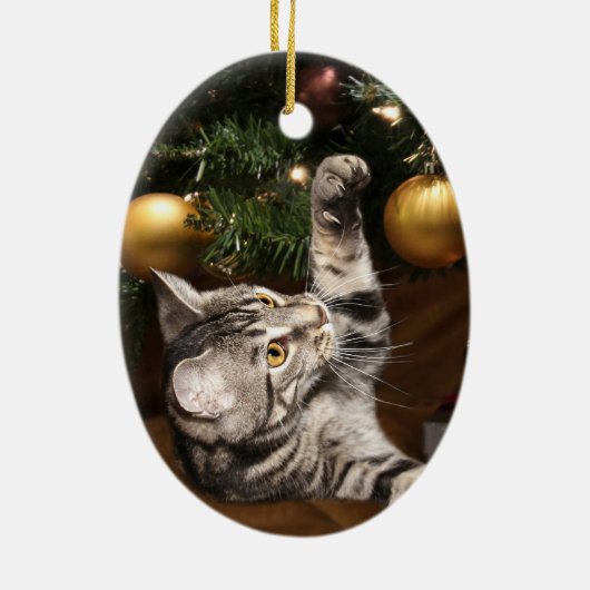 Kat en kerstboom met tabby keramisch ornament (Achterkant)