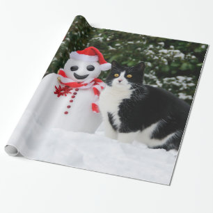 Kat en kerstman, cadeau cadeaupapier