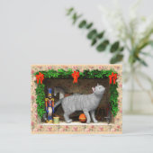 Kat en kerstspullen briefkaart (Staand voorkant)