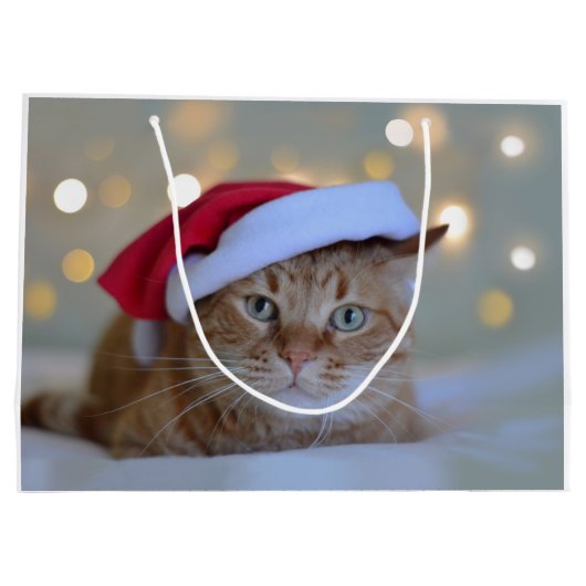 Kat- en kerstverlichting groot cadeauzakje (Achterkant)