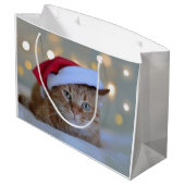 Kat- en kerstverlichting groot cadeauzakje (Achterkant Gekanteld)