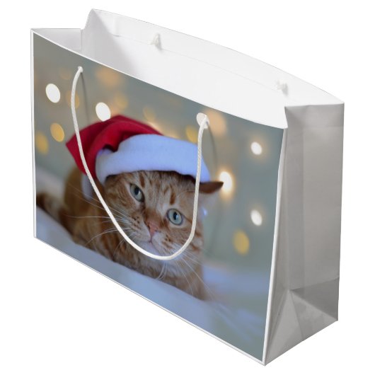 Kat- en kerstverlichting groot cadeauzakje (Achterkant Gekanteld)