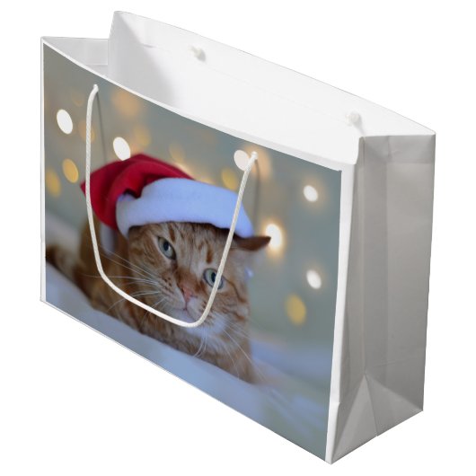 Kat- en kerstverlichting groot cadeauzakje (Voorkant Gekanteld)