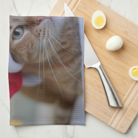 Kat- en kerstverlichting theedoek (Quarter Fold)
