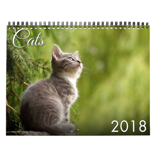 Kat en keukenkalender 2018 kalender (Hoes)