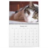 Kat en keukenkalender 2018 kalender (Jan 2027)