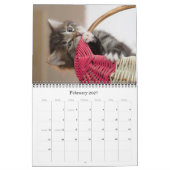 Kat en keukenkalender 2018 kalender (Feb 2027)