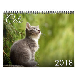 Kat en keukenkalender 2018 kalender
