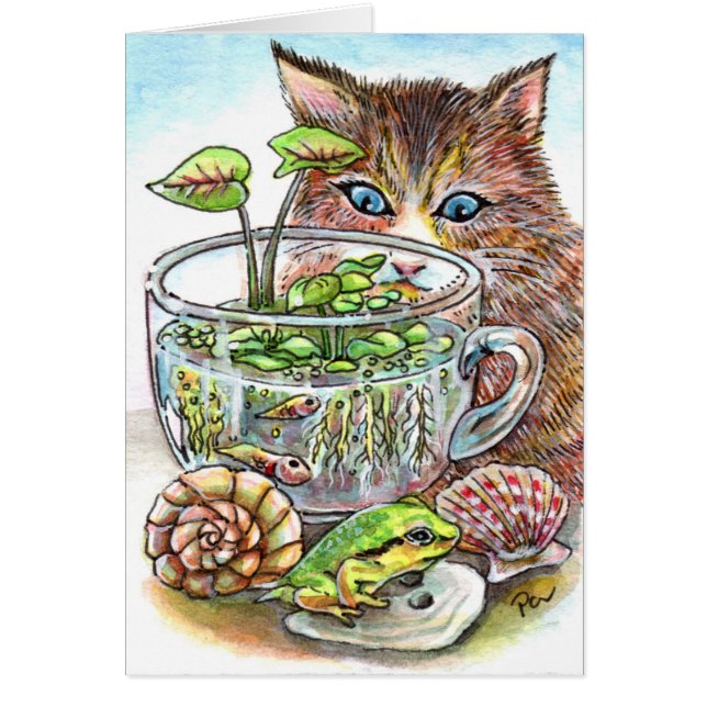 Kat en kikker (Voorkant)