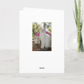  kat en kitten Moederdag Kaart (Achterkant)