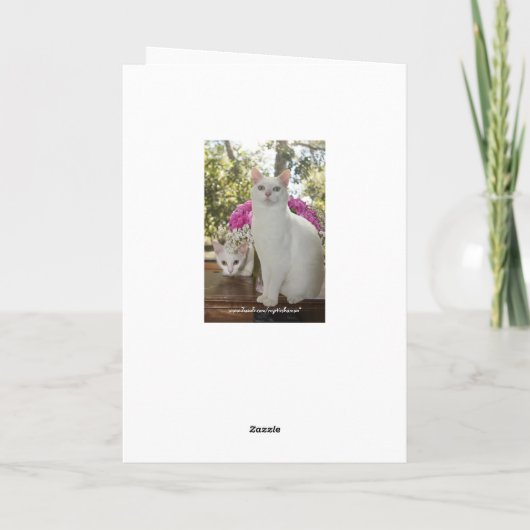 kat en kitten Moederdag Kaart (Achterkant)