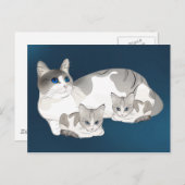 Kat en kittens briefkaart (Voorkant / Achterkant)