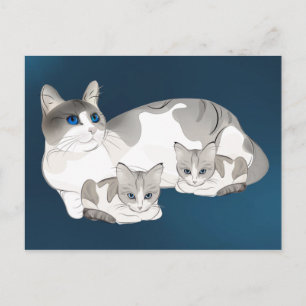 Kat en kittens briefkaart