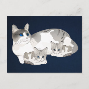 Kat en kittens briefkaart