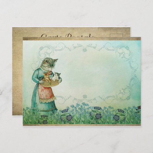  kat en Kittens, Briefkaart (Voorkant / Achterkant)