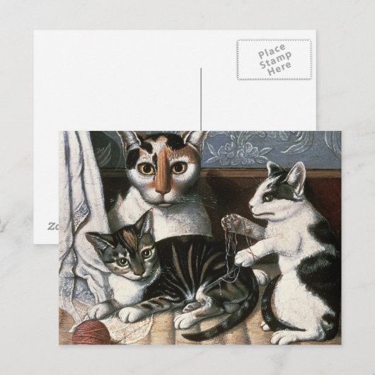 Kat en Kittens, c.1872-1883 Briefkaart (Voorkant / Achterkant)